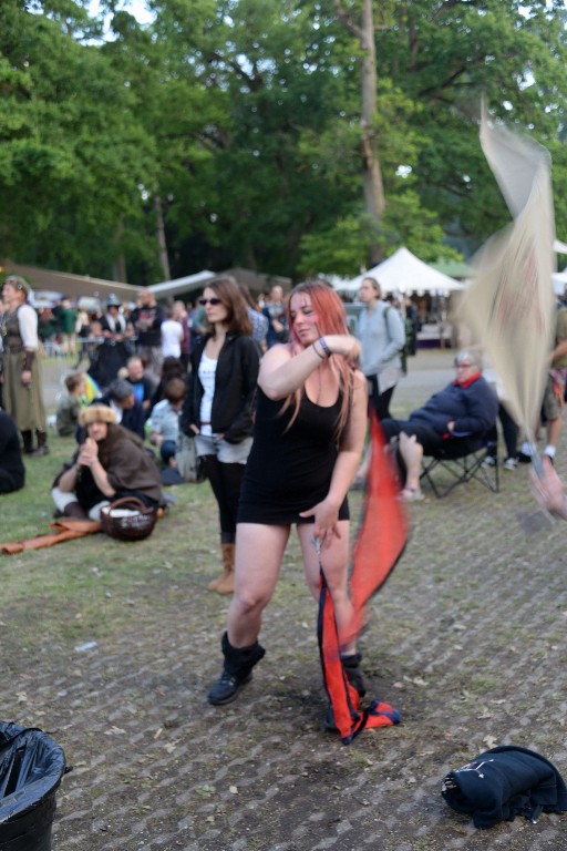 ../Images/Vrijdag Castlefest 2015 154.jpg